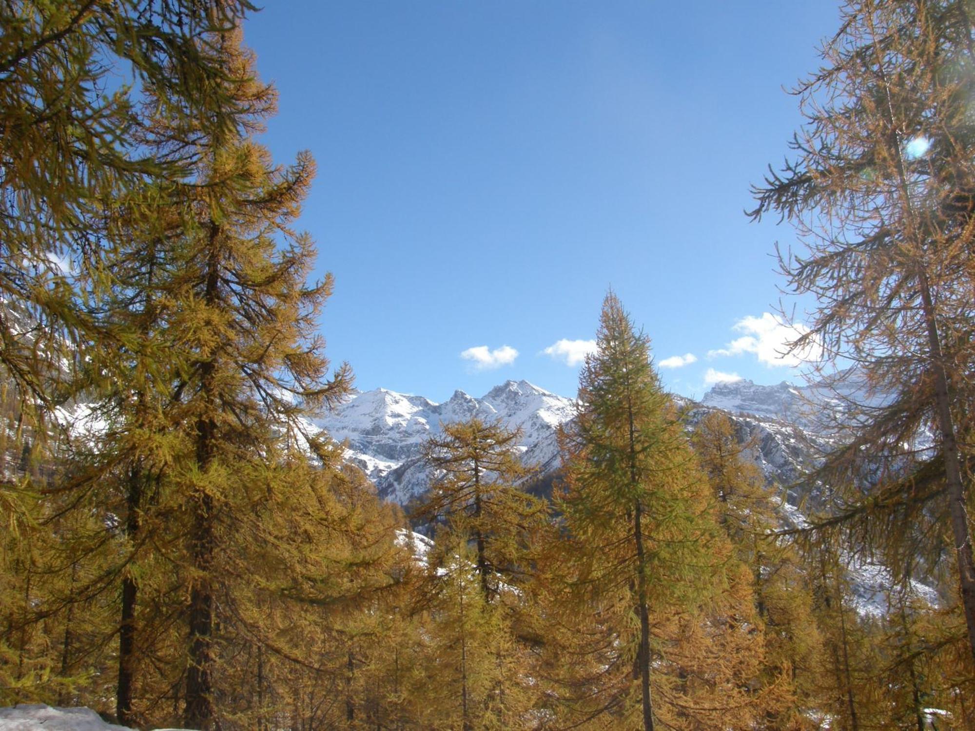 Hotel Gran Baita Gressoney-Saint-Jean Esterno foto