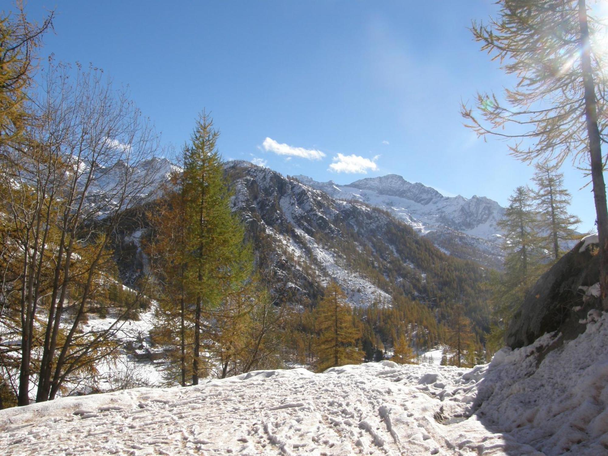 Hotel Gran Baita Gressoney-Saint-Jean Esterno foto