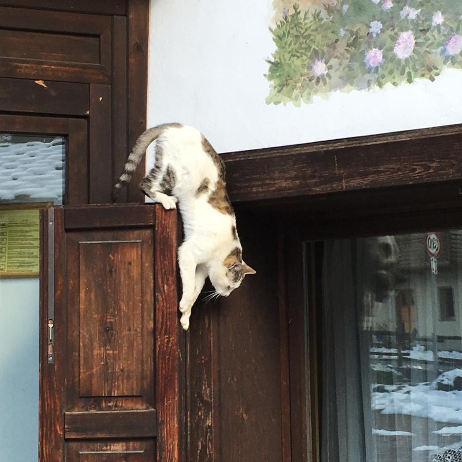 Hotel Gran Baita Gressoney-Saint-Jean Esterno foto